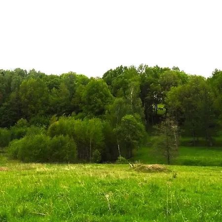 Dom Na Wzgorzu בית חווה *