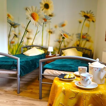 Dom Na Wzgorzu * Pollnow