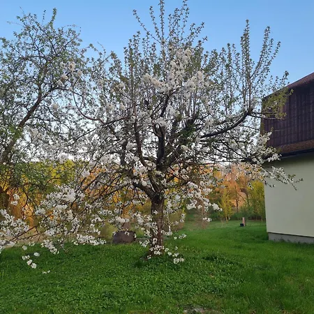 Bauernhof Dom Na Wzgorzu *