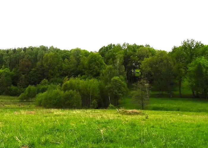 Dom Na Wzgórzu Agroturismo *