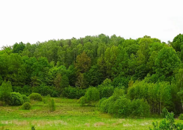 Séjour à la ferme Dom Na Wzgorzu Pollnow