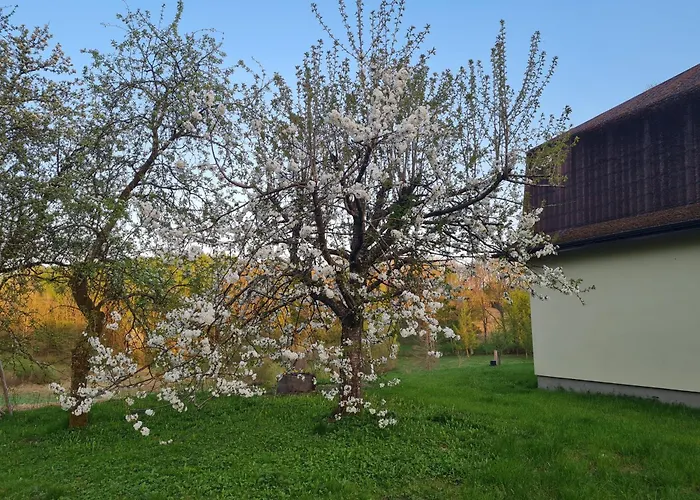 Agroturismo Dom Na Wzgórzu *